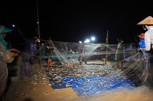 Trắng đêm cùng ngư dân đánh bắt cá trích