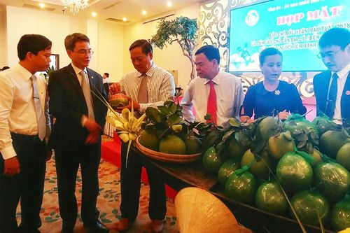 Công bố chỉ dẫn địa lý dừa uống nước Xiêm xanh và Bưởi da xanh