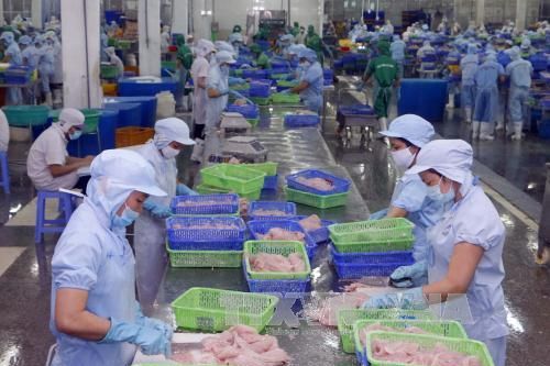 Doanh nghiệp cá tra phản đối quyết định thiếu công bằng của DOC
