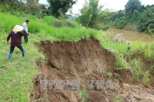 Xử lý vấn nạn 'cát tặc' ở hai tỉnh Bình Phước và Lâm Đồng