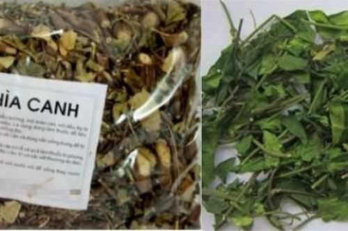 Hại đủ đường khi sử dụng dược liệu trị tiểu đường trôi nổi