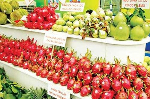 Giá nhiều mặt hàng trái cây xuất khẩu tăng