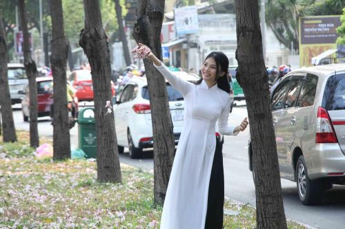 Triệu cánh kèn hồng rực rỡ khoe sắc trong lòng phố thị Sài Gòn