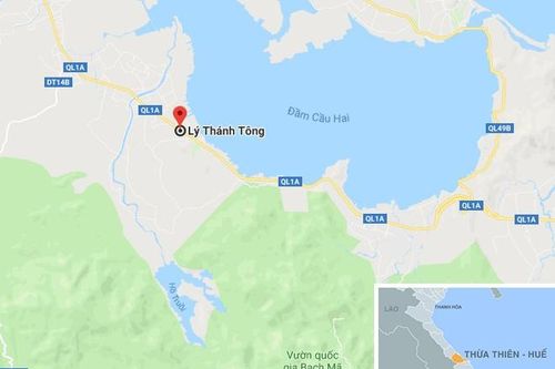 Chủ 3 cây đa khổng lồ bị phạt 750.000 đồng