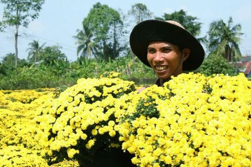Sôi động thị trường hoa Tết miền Tây