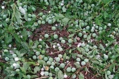 Mưa đá nhiều nơi gây thiệt hại nặng nề