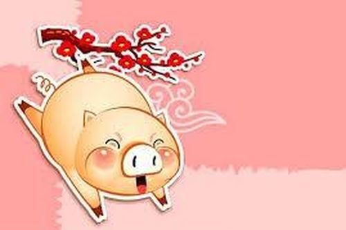 Tuổi Hợi năm 2018: Nhiều cơ hội tiến thân