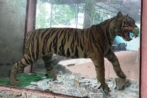 Nghệ thuật hay phạm luật?