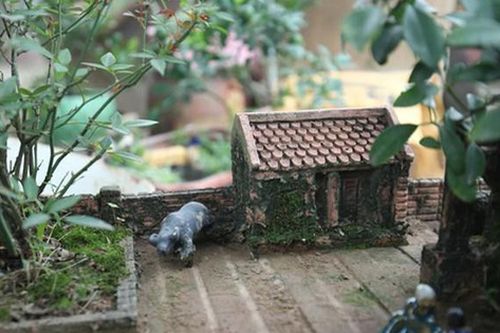 Lơ đào, quất, dân chơi Hà thành 'săn' tiểu cảnh nhà ba gian Bắc Bộ chơi Tết