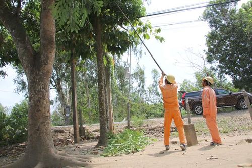 Nâng cao ý thức bảo vệ an toàn hành lang lưới điện cao áp