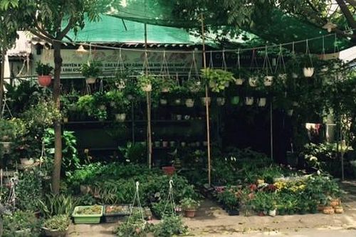 Hải Phòng: Nhiều vấn đề cần làm rõ trong vụ án chia di sản ở Lê Chân