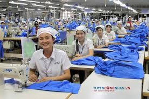 Lương hiệu quả công việc có phải tính đóng BHXH?