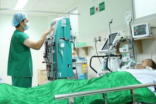 Bị ong đốt 250 mũi, người đàn ông miền Tây nguy kịch