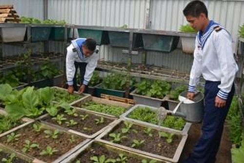 Đi giữa đảo chìm, đảo nổi