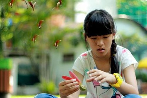 Sài Gòn mùa trái dầu bay
