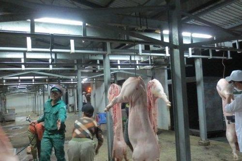 Giải pháp giết mổ gia súc tập trung theo công nghệ sạch