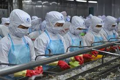 Bảo lưu những tháng lẻ khi hưởng trợ cấp thất nghiệp