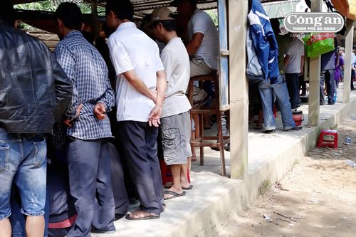 Đột nhập 2 trường gà 'khủng' tại Quảng Nam (Kỳ 1: Trong thế giới chọi gà)