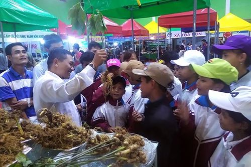 Giảng dạy kỹ năng trồng dược liệu trong trường học