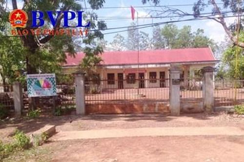 Công ty Lâm nghiệp Rừng Xanh: Vì sao để mất hơn 2.000 ha đất rừng?