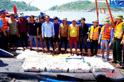 Quyết liệt xử lý tàu giã cào khai thác sai vùng quy định