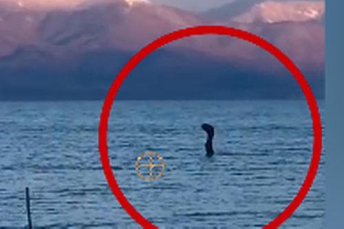 Cuối cùng bí ẩn quái vật hồ Loch Ness cũng được giải mã?