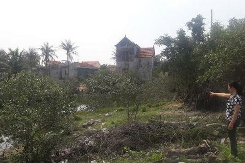 Dự án chia lô đất ở phường Quỳnh Phương (Nghệ An): Cần xem xét giải quyết thỏa đáng quyền lợi người dân