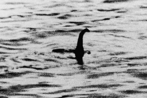Săn tìm ADN quái vật hồ Loch Ness