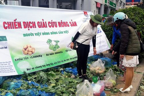 Bao giờ hết cảnh 'giải cứu' nông sản Việt Nam?