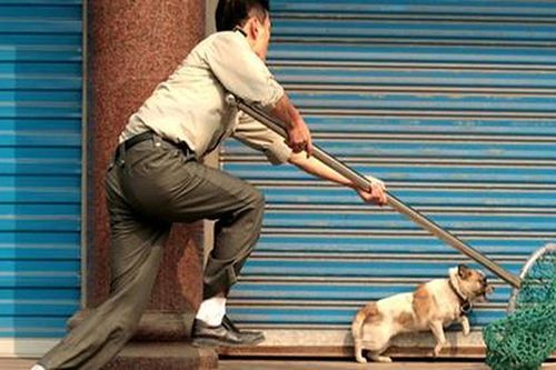 Cặp vợ chồng nghiện, 'đói' tiền đi trộm chó