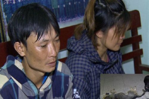 Thanh Hóa: Đôi vợ chồng trộm chó bán lấy tiền mua ma túy