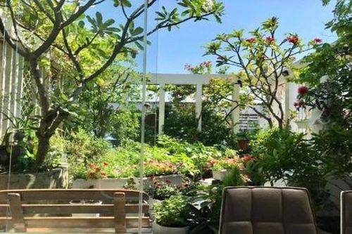 Vườn rau sạch 200m2 sum suê cây trái của nữ giám đốc Sài Gòn
