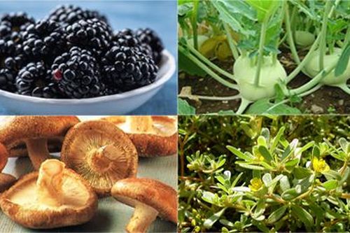 4 thực phẩm trong vườn nhà chống nhiễm trùng cực tốt