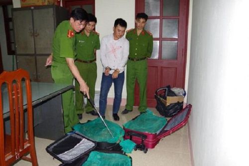 Nhận 20 triệu đồng, cặp vợ chồng giấu 130kg rắn hổ mang chúa trong vali để mang ra Hà Nội