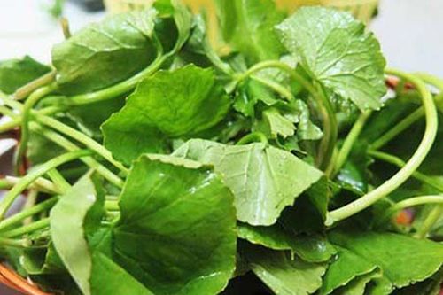 6 tác dụng của 'rau Hoàng hậu' có thể bạn chưa biết