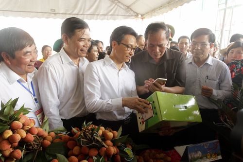 Tưng bừng lễ hội vải thiều Thanh Hà 2018