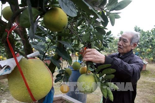 Hà Nam: Huyện Duy Tiên nhận bằng đạt chuẩn nông thôn mới