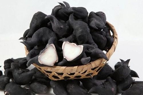 Bí mật vị thuốc giúp 'trường sinh' rẻ tiền mà có thể bạn chưa biết
