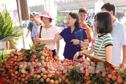 Giá vải thiều Lục Ngạn tăng cao hơn những ngày đầu vụ