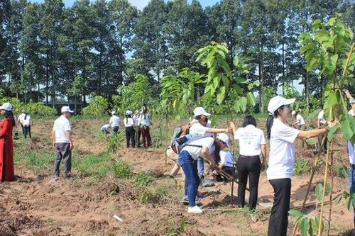 Doanh nghiệp đồng hành bảo vệ môi trường tại Đồng Nai
