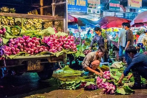 Những ngày đầu tháng 6, chợ hoa Quảng Bá có thêm hương sắc của cả ngàn bông sen