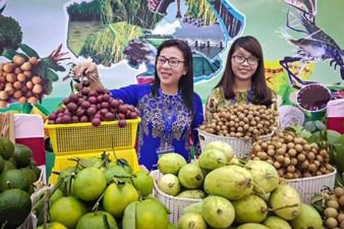 Sóc Trăng thúc đẩy ứng dụng công nghệ cao phát triển sản xuất nông nghiệp