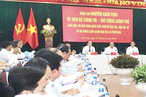 Các mô hình HTX kiểu mới đang là xu thế phát triển