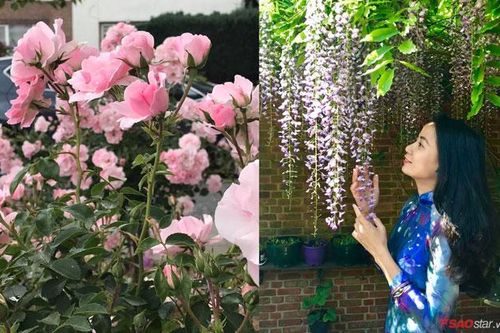 Khu vườn ngập hoa, ai cũng thốt lên muốn được đến 'sống ảo' của cô dâu Việt tại Bỉ