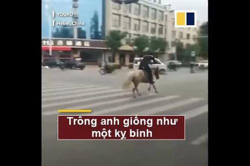 Cái kết đau đớn của chàng trai cưỡi ngựa trên phố
