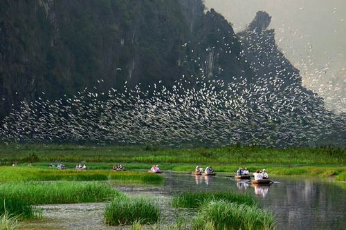 Phát triển du lịch dựa vào tự nhiên