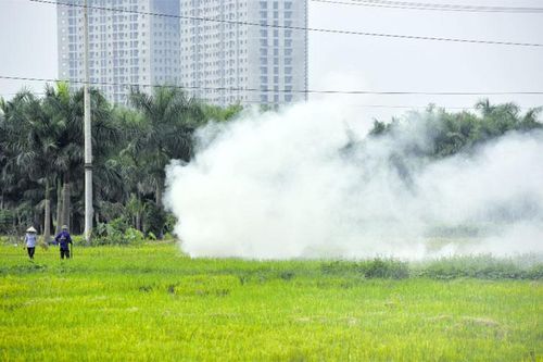Đến khi nào Hà Nội mới là Thành phố không đốt rơm rạ?