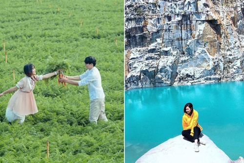 Đến Đà Lạt mà không một lần ghé những nơi này thì chuyến đi của bạn thật sự rất nhạt nhẽo đấy!