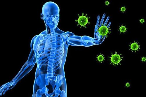 Nhận diện virus ở chuột có thể tăng cường miễn dịch cho cơ thể