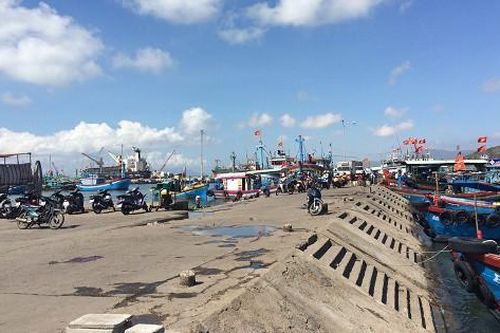 Bất cập cấp giấy xác nhận nguyên liệu hải sản
